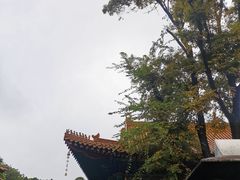-圆通禅寺