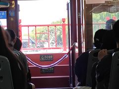 -皇家御河游(紫御湾码头)