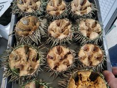 -海胆小馆(东北水饺·春柳店)