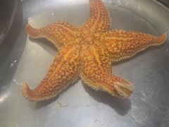 -船梆煮•蒸汽海鲜·生腌干蒸(五四广场店)