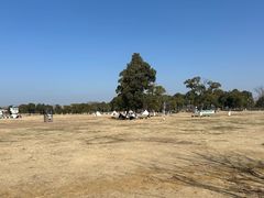 -苏州太湖国家湿地公园