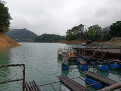 -广州市流溪河国家森林公园