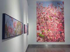-南京书画院金陵美术馆