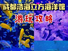 -成都浩海立方海洋公园