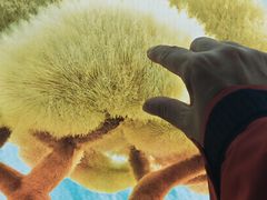 -瑞幸咖啡(后海汇B1层店)