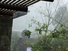 -MOJ coffee(瓯海泽雅水碓坑店)