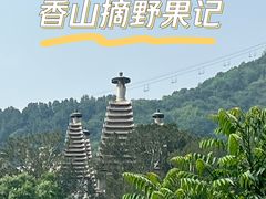 -香山公园