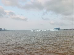 -观澳平台