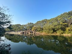 -白马涧龙池景区
