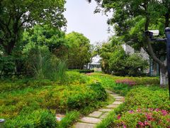 -田园东方蜜桃村的田野营地