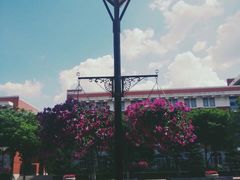-东北师范大学(净月大街校区)