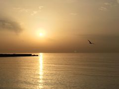-小巴塞罗那海滩