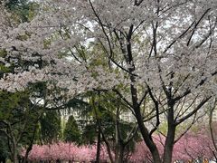 -白塘生态植物园