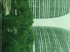 -新荟城(望京店)