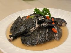 -沙龙酒家