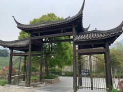 -帐篷客·溪龙茶谷度假酒店