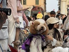 -华谊兄弟（长沙）电影小镇