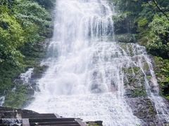 -瓦屋山景区
