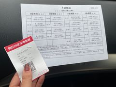 -枫花园汽车电影院(朝阳公园店)