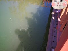 -芒洲湿地公园
