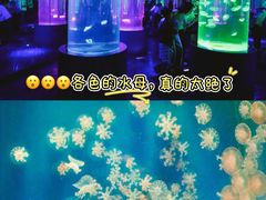 -南昌海洋公园