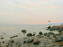 -深圳湾公园(南山区)