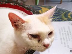 -平行世界·猫咖(首经贸店)
