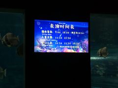 导游图-太平洋海底世界