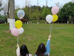 -铁山坪森林公园