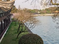 -无锡蠡湖国家湿地公园-蠡园
