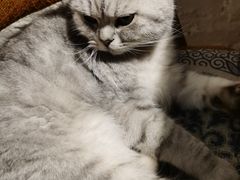 -不舍昼夜咖啡馆