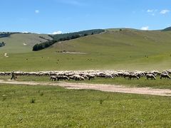 -塞罕坝国家级自然保护区