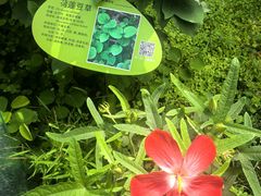 -广州神农草堂中医药博物馆