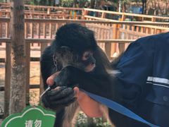 -水上乐园·欢乐世界