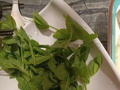 -诺筵汤品·菌汤火锅(南河坝店)