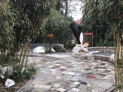 -金孔雀温泉旅游度假村