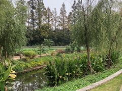 -前小桔亲子创意农场·草莓采摘·露营烧烤