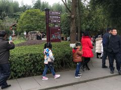 -邓小平故里