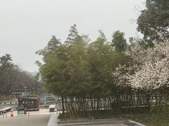 -蠡湖大桥公园