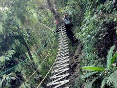 -清迈丛林飞跃 JungleFlight
