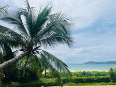 -三亚亚龙湾天域度假酒店