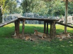 -北京野生动物园