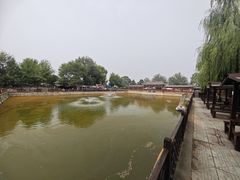 -尚庄度假村·庭台树下·户外烧烤·团建CS·轰趴营地(上庄水库店)