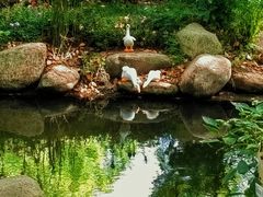 -上海共青森林公园