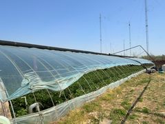 -大自然农场蔬菜草莓采摘园