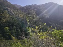 -明堂山风景区