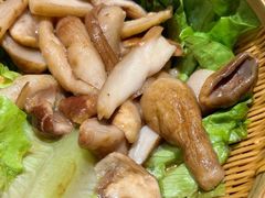 -滇野云南野生菌餐厅(陕西南路店)