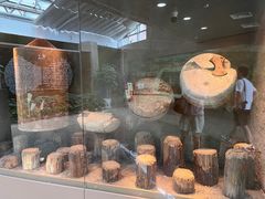 -元代水闸遗址博物馆
