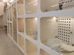 -comecome来吧宠物(奥克斯中心店)