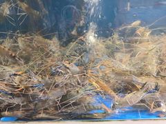 -北塘海鲜·天津菜(大光明桥旗舰店)